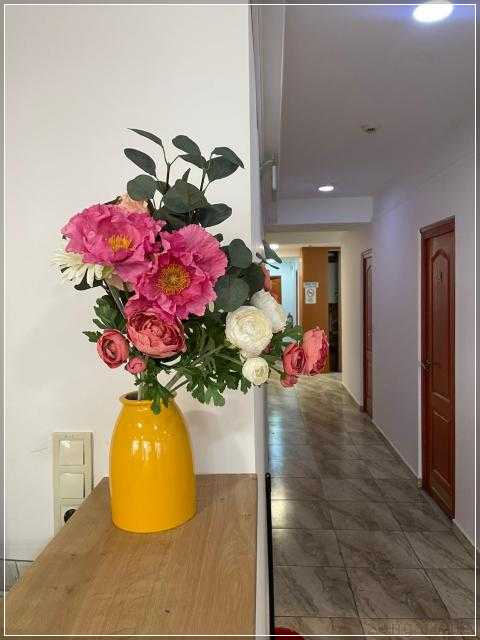 Center Hostel and Guest House