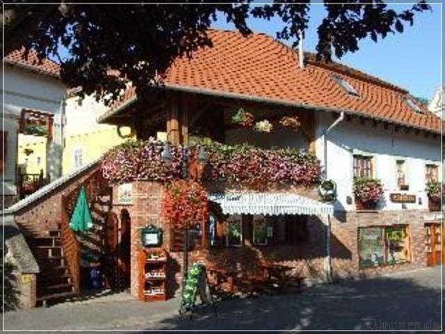 Vasko Panzio Borpince