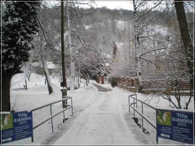 Villa Harmonia Panzio