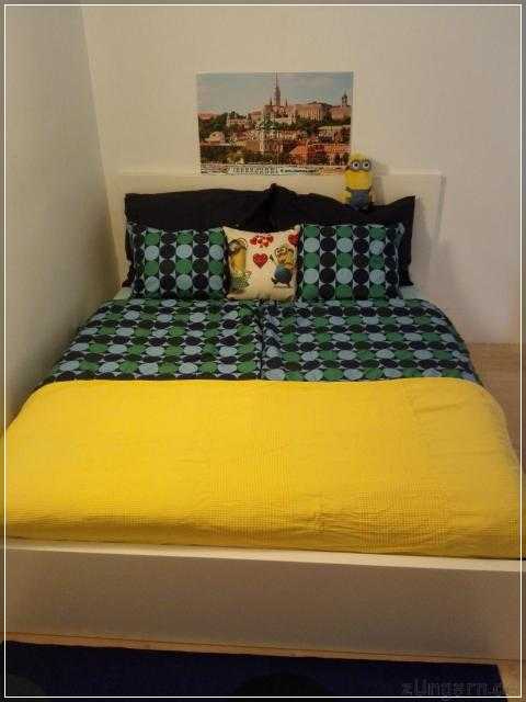 Minion & Snoopy Apartman